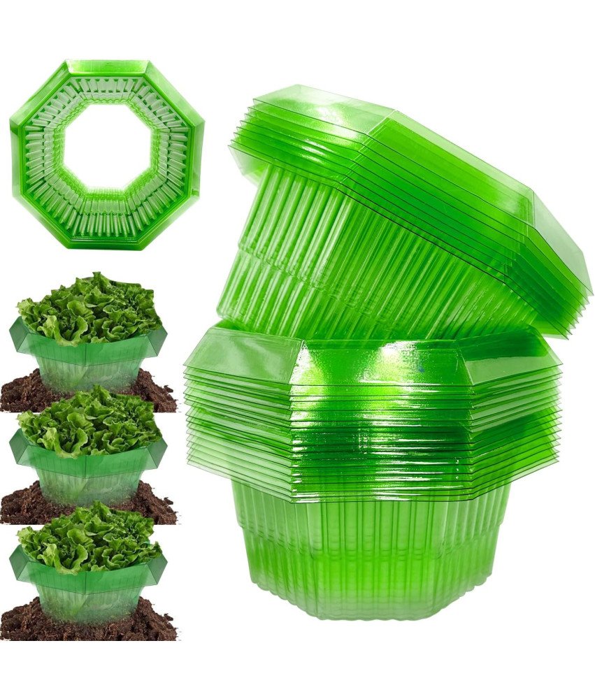 Kołnierze Przeciw Ślimakom 10 Sztuk z Tworzywa Sztucznego Ochrona Roślin