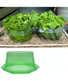 Kołnierze Przeciw Ślimakom 10 Sztuk z Tworzywa Sztucznego Ochrona Roślin