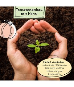 Zestaw do Uprawy Warzyw z Nasionami Pomidorów Ziemią i Jutowym Workiem