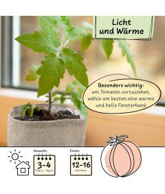 Zestaw do Uprawy Warzyw z Nasionami Pomidorów Ziemią i Jutowym Workiem