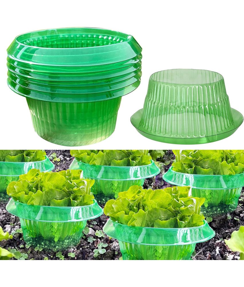 Obręcze Kołnierze Przeciw Ślimakom 6 Sztuk Ø 24cm do Ochrony Roślin Zielone