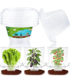 Zestaw 6 Kołnierzy 6 Siatek Ochronnych na Rośliny Przeciw Ślimakom i Owadom