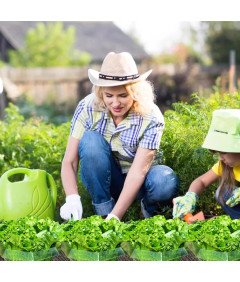 Obroże Przeciw Ślimakom Pierścienie Ochronne Roślin 20 Sztuk Zielone