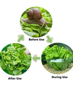 Obroże Przeciw Ślimakom Pierścienie Ochronne Roślin 20 Sztuk Zielone