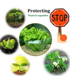 Obręcze Przeciw Ślimakom 20 Sztuk Ø 24 cm Plastikowe Wielokrotnego Użytku