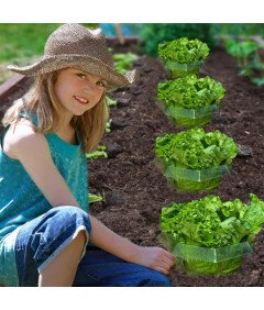 Obręcze Przeciw Ślimakom 20 Sztuk Ø 24 cm Plastikowe Wielokrotnego Użytku