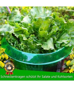 Zestaw 20 Kołnierzy 20 Siatek do Ochrony Roślin Przeciw Ślimakom i Owadom