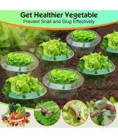 Zestaw 20 Kołnierzy 20 Siatek do Ochrony Roślin Przeciw Ślimakom i Owadom