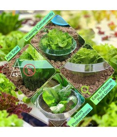 Zestaw 20 Kołnierzy 20 Siatek do Ochrony Roślin Przeciw Ślimakom i Owadom