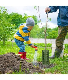 Obrzeża Pni Osłona Pnia Drzewa 3 Sztuki Składana Ochrona Drzew Zielona 25cm
