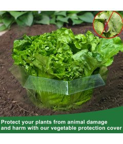 Kołnierze Przeciw Ślimakom 10 Sztuk Ø 24 cm Plastikowe Pierścienie Ochronne