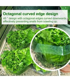 Kołnierze Obręcze Przeciw Ślimakom 10 Sztuk Ø 24 cm Ochrona Warzyw i Kwiatów