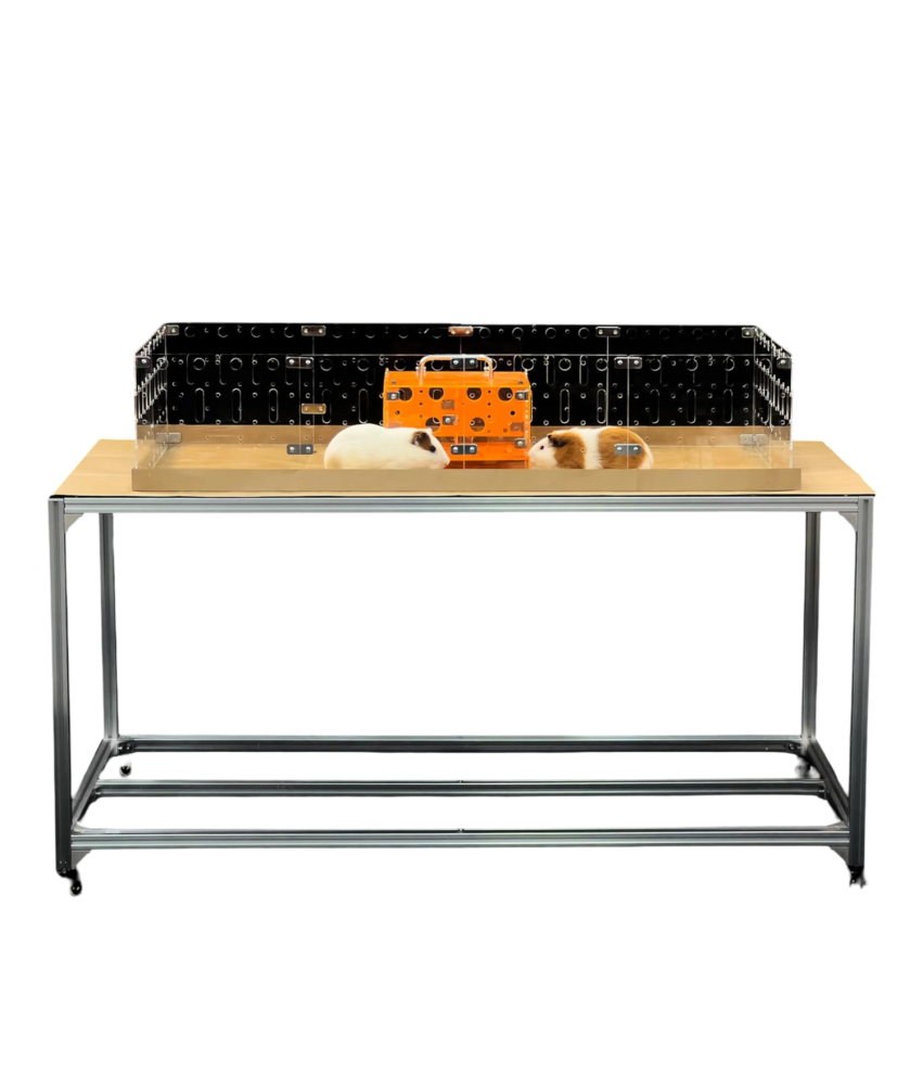 GuineaLoft Klatka Akrylowa dla Świnek Morskich i Królików 122x61 cm