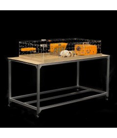 GuineaLoft Klatka Akrylowa dla Świnek Morskich i Królików 122x61 cm