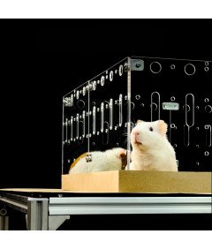 GuineaLoft Klatka Akrylowa dla Świnek Morskich i Królików 122x61 cm