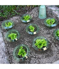 Zestaw 10 Osłon Przeciw Ślimakom do Roślin 24cm Ekologiczne Barierki