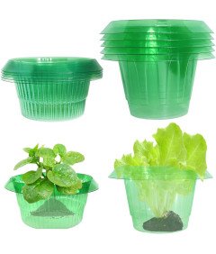 Zestaw 10 Osłon Przeciw Ślimakom do Roślin 24cm Ekologiczne Barierki