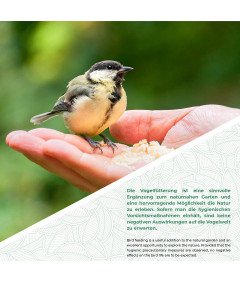 Wisząca Budka Dla Ptaków Karmnik Stacja Do Całorocznego Karmienia Ptaków