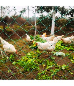 Wytrzymała Siatka Dla Drobiu Nylonowa Oczka 5 cm Woliery Kurnik 1,5 x 5 m