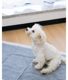 Podkłady Higieniczne Chłonne Maty Dla Psa Kota Nauka Sikania 45x60 cm 30szt