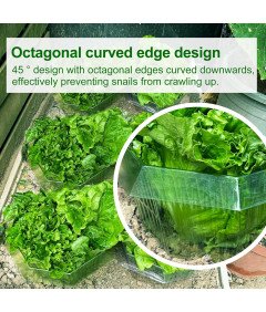 Zestaw 10 Sztuk Kołnierzy Ochronnych Przeciw Ślimakom Pierścienie Ogrodowe