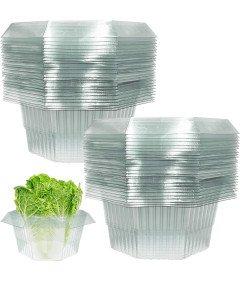 Kołnierze Ochronne przed...