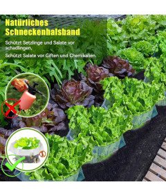 Zestaw 10 Sztuk Kołnierzy Ochronnych Przeciw Ślimakom Pierścienie Ogrodowe