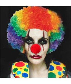 Peruka Afro Kręcone Przebranie Strój Disco Klown Akcesoria Unisex Kolorowa