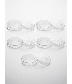 Szalki Petriego Laboratoryjne z Pokrywką Wentylowane 90 x 15 mm 10 szt