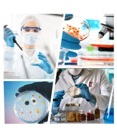 Szalki Petriego Laboratoryjne z Pokrywką Wentylowane 90 x 15 mm 10 szt