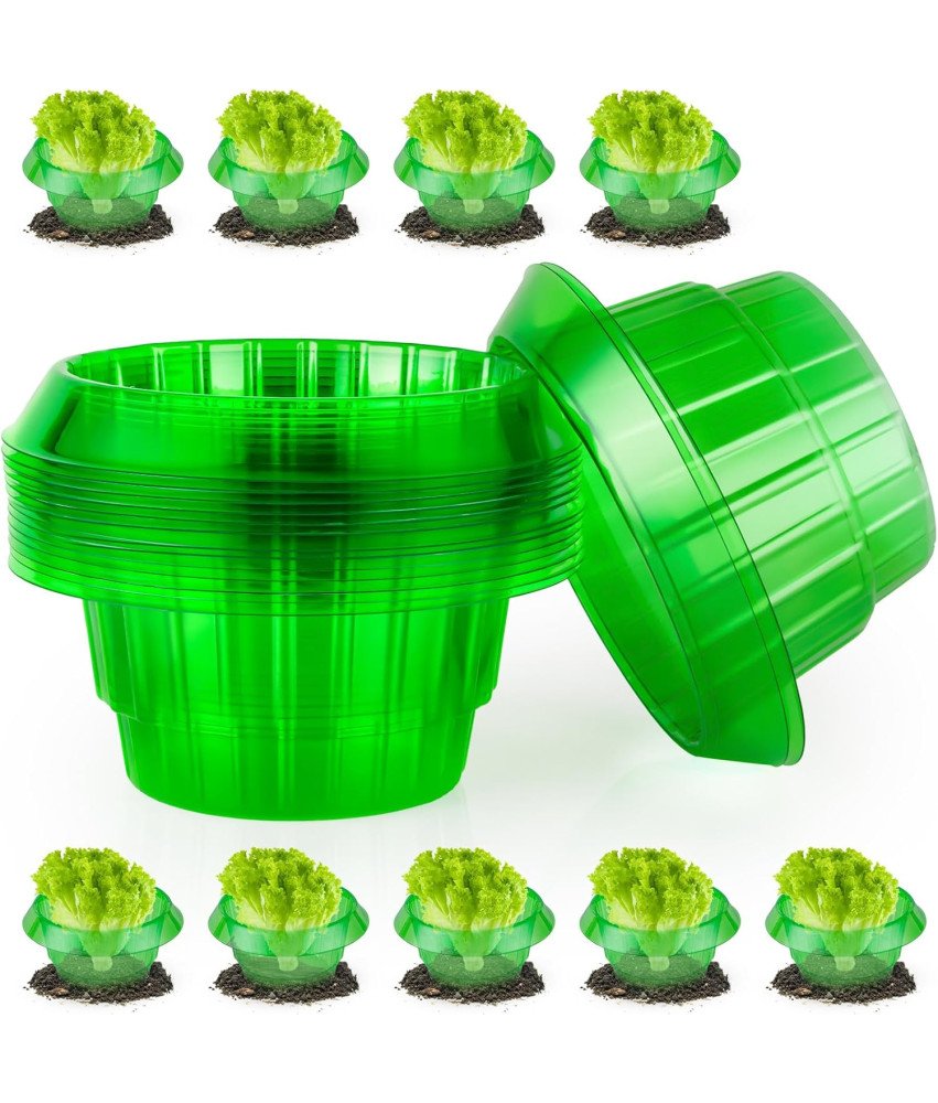 Kołnierz Ślimakowy Płot Ochronny na Rośliny przed Ślimakami Zielony 15 szt