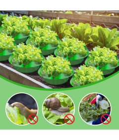 Kołnierz Ślimakowy Płot Ochronny na Rośliny przed Ślimakami Zielony 15 szt