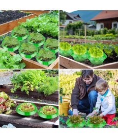 Kołnierz Ślimakowy Płot Ochronny na Rośliny przed Ślimakami Zielony 15 szt