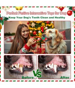 Zestaw Zabawek Dla Psa 7 Elementów Gryzaki Sznurki do Pielęgnacji Zębów