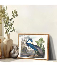 Obraz na Płótnie na Ścianę w Ramce Vintage Niebieska Czapla 40x60 cm