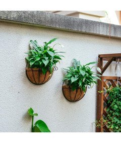Doniczka Ścienna Wisząca Zestaw 2 szt Kosz Druciany Z Wkładem Kokosowym