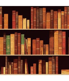 Tapeta Okleina Naklejka Ścienna Efekt 3D Biblioteka Książki 44,5x700 cm