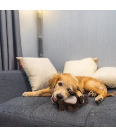 Zabawka Dla Psa Pluszowa Dinozaur 20 cm Interaktywna Piszcząca Gryzak