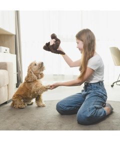 Zabawka Dla Psa Pluszowa Dinozaur 20 cm Interaktywna Piszcząca Gryzak