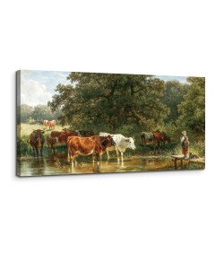 Obraz na Płótnie Krowy Piją Wodę 50x100 cm Duża Sztuka Ścienna Estetyczna