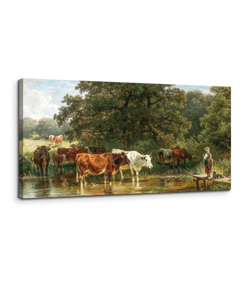 Obraz na Płótnie Krowy Piją Wodę 50x100 cm Duża Sztuka Ścienna Estetyczna