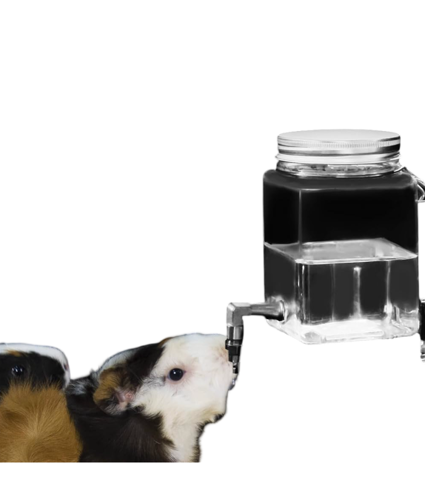 GuineaLoft Butelka na Wodę bez Kapania Dla Świnki Morskiej Przezroczysta