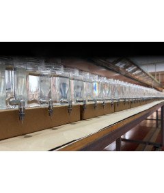 GuineaLoft Butelka na Wodę bez Kapania Dla Świnki Morskiej Przezroczysta