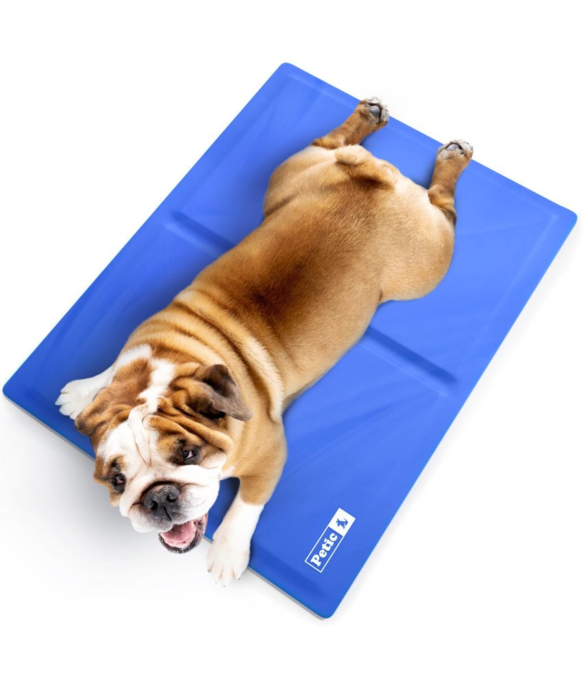 Mata Chłodząca dla Psa i Kota Niebieska 65x50 cm Żelowa Wodoodporna