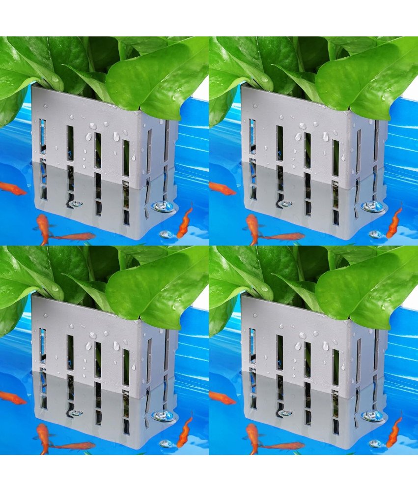 Borlech Akvarijsko držalo za rastline, komplet 4 kosov sive barve