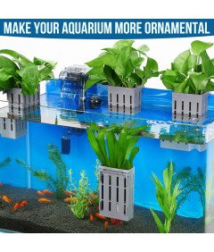 Borlech Akvarijsko držalo za rastline, komplet 4 kosov sive barve