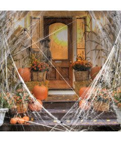 Halloween dekoracija Pajčevina 290g s pajki 80 kosov