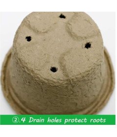 SYITCUN biorazgradljivi šotni lonec komplet 60 kosov dodatkov