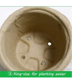 SYITCUN biorazgradljivi šotni lonec komplet 60 kosov dodatkov