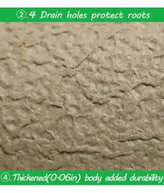 SYITCUN biorazgradljivi šotni lonec komplet 60 kosov dodatkov